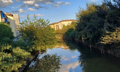 Asciutta totale del Naviglio Martesana per lavori alle sponde