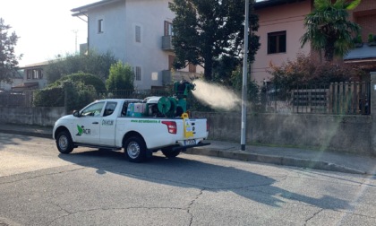 Caso di Dengue: effettuato il trattamento zanzaricidia, ma era un falso allarme