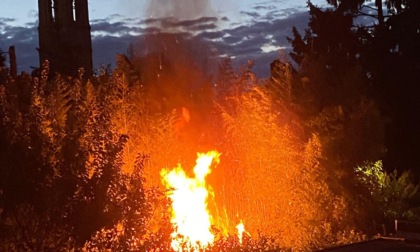Danno fuoco al giardino di una villetta: "Servono nuove telecamere"