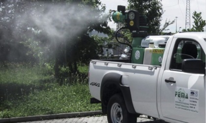 Caso di infezione da Dengue, disinfestazione straordinaria a Cernusco