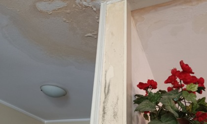 Coppia di anziani da dieci mesi vive con l'acqua che gocciola dal soffitto