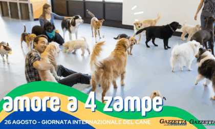 Giornata mondiale del cane: già 60 foto giunte in redazione