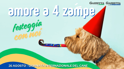 Giornata mondiale del cane: oltre 100 foto giunte in redazione