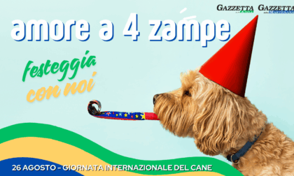 Giornata mondiale del cane: oltre 100 foto giunte in redazione