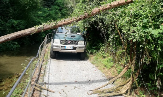 Un altro albero crolla sull’Alzaia dell’Adda dopo il maltempo