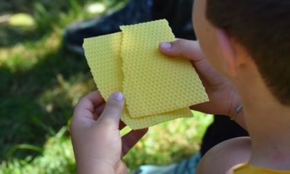 Educazione ambientale: le proposte del Parco Adda Nord per l'anno scolastico 2025-2026