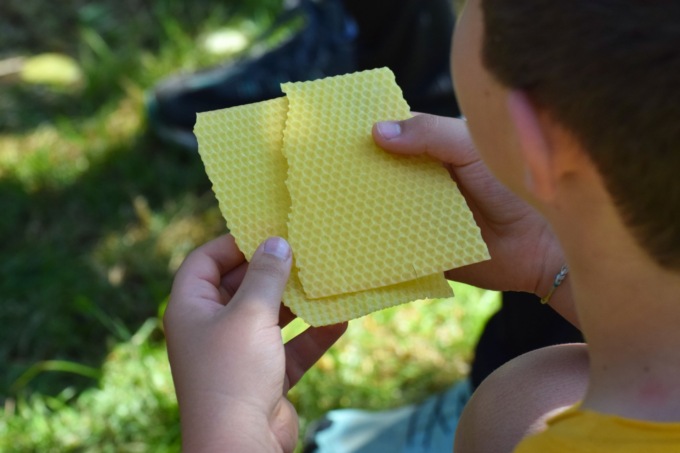 Educazione ambientale: le proposte del Parco Adda Nord per l’anno scolastico 2025-2026