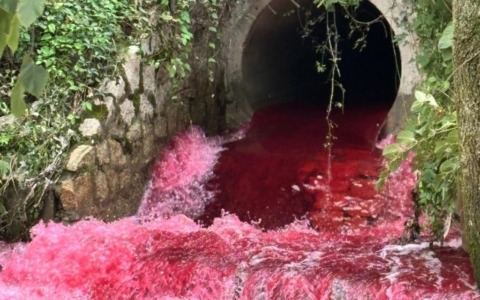 Il Lambro è diventato rosso sangue: pioggia di segnalazioni dalla Brianza