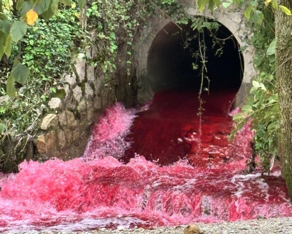 Il Lambro è diventato rosso sangue: pioggia di segnalazioni dalla Brianza