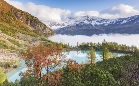 Autunno in Valtellina: una vera “Golden Season” tra scoperta, relax e paesaggi che emozionano