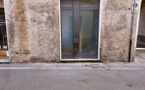Baby vandali danno fuoco a un cestino dei rifiuti e danneggiano le vetrine dei negozi