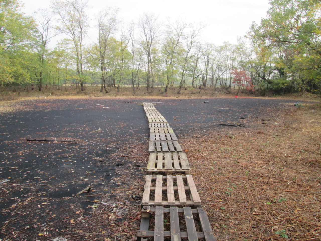 Bonifica del “lago nero”, forse è la volta buona: sopralluogo della Regione