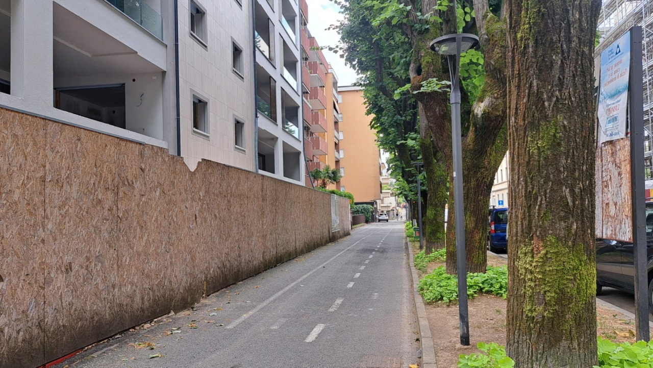 Per salvare i tigli di viale Gavazzi il Comune “taglia” i parcheggi