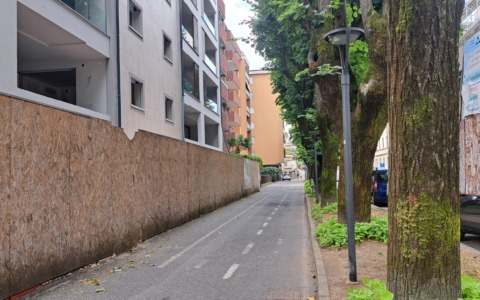 Per salvare i tigli di viale Gavazzi il Comune “taglia” i parcheggi