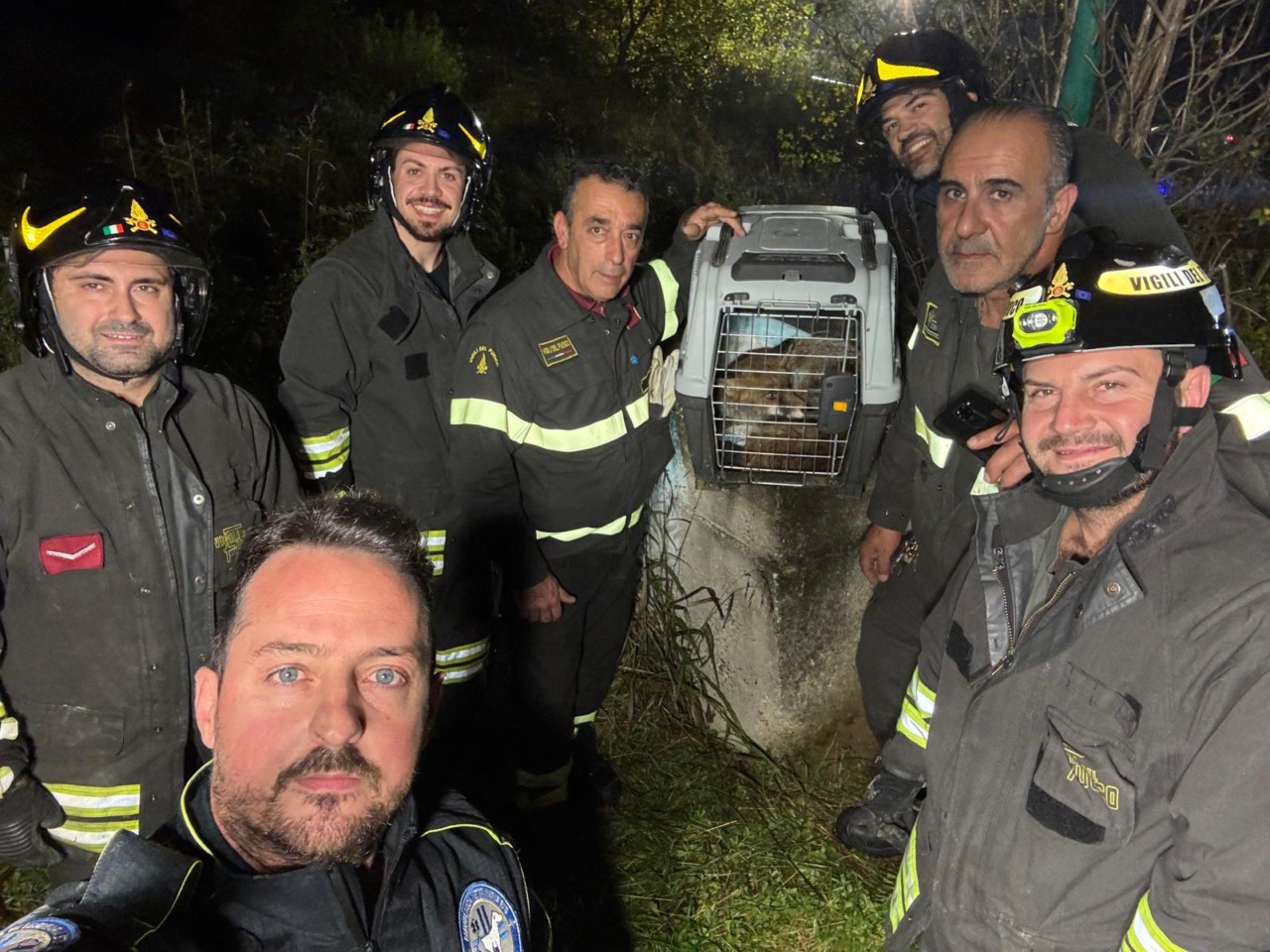 Intrappolata in un pozzetto Telecom, i Vigili del fuoco di Gorgonzola salvano una volpe