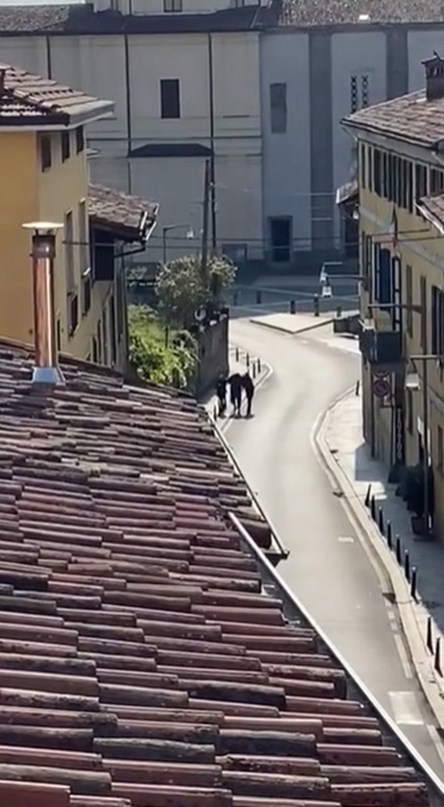 “Dribbla” il posto di controllo dei vigili e viene inseguito per le vie del centro. Preso