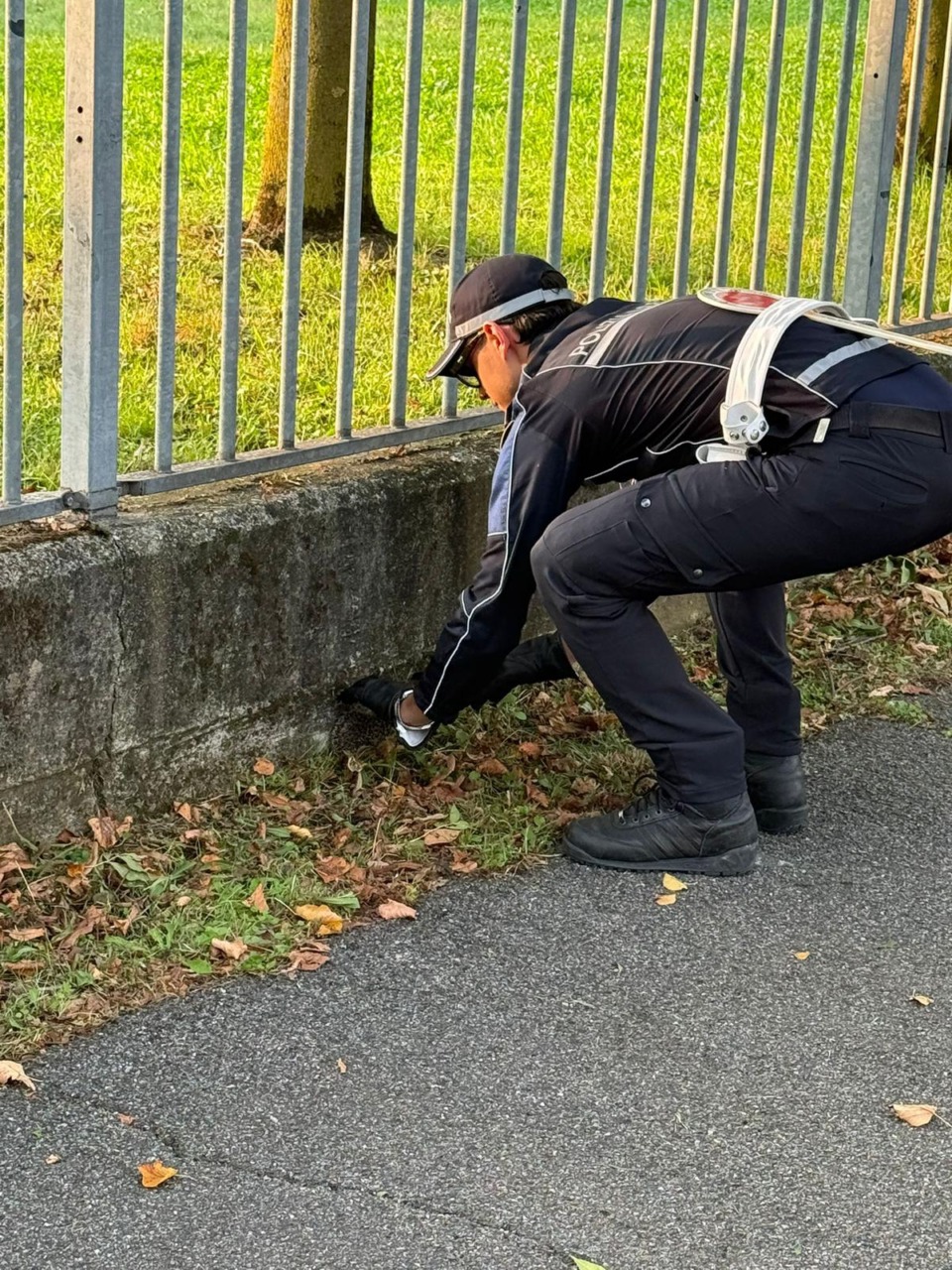 Un riccio si avvia verso la strada… salvato dagli agenti della Polizia Locale