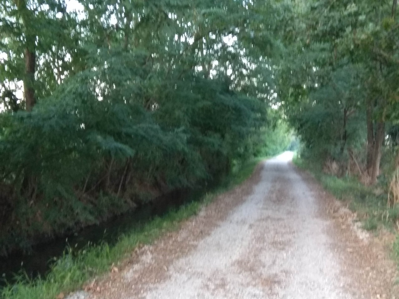 Il Comune mette in affitto i campi di Cascina Castelletto, ma gli edifici restano vuoti