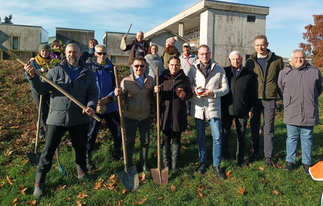 Oltre cinquanta nuovi alberi per il patrimonio verde cittadino