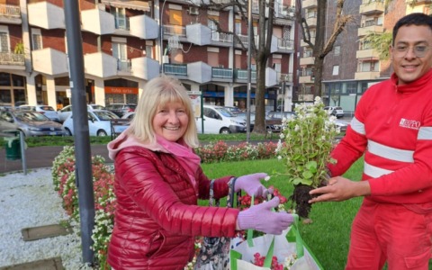 Regalate ai cittadini le begonie dei giardini davanti al Municipio