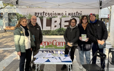 Via Don Sturzo: raccolta firme per fermare l’abbattimento dei bagolari