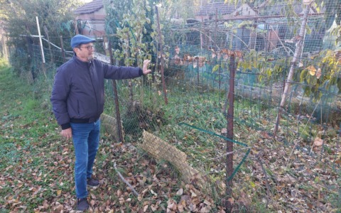 La protesta di un pensionato: “Orti non assegnati, perché?”