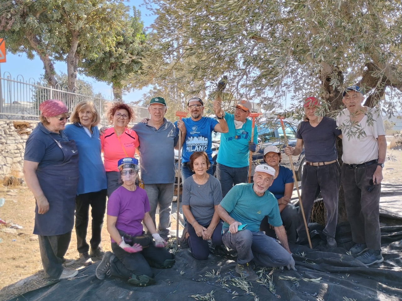 Volontari di Cernusco sul Naviglio tornano in Terra Santa per la raccolta delle olive: “Segnali di speranza”