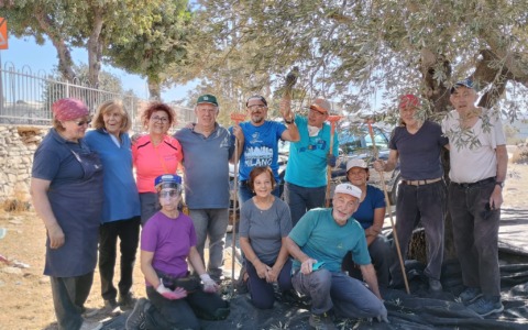 Volontari di Cernusco sul Naviglio tornano in Terra Santa per la raccolta delle olive: “Segnali di speranza”