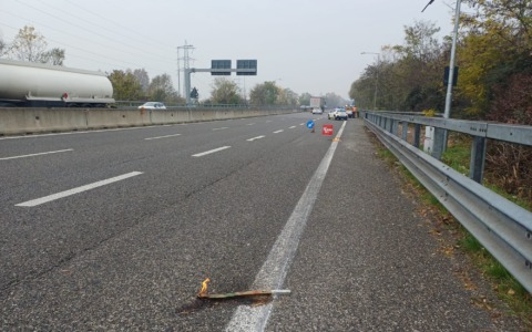 Perde un bancale in carreggiata, tragedia sfiorata sulla Cassanese