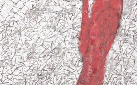 “Se ricevi questo messaggio è perché sei un maschio, come me. Ho deciso di non essere complice”