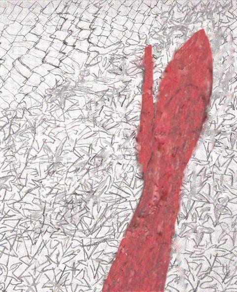 “Se ricevi questo messaggio è perché sei un maschio, come me. Ho deciso di non essere complice”