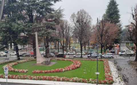 Piantine di begonie in dono a chiunque si presenti davanti al Municipio