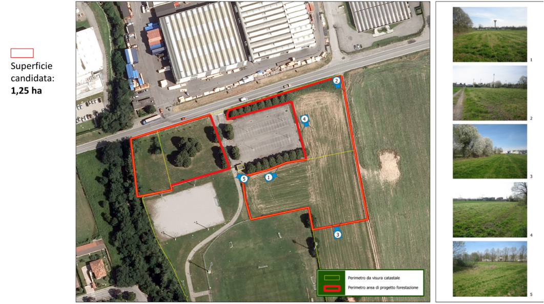 Il paese “prende ossigeno”: 1.250 nuovi alberi vicino al centro sportivo