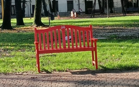 Le consigliere di minoranza: “Il 25 novembre sia impegno concreto, non solo una ricorrenza”