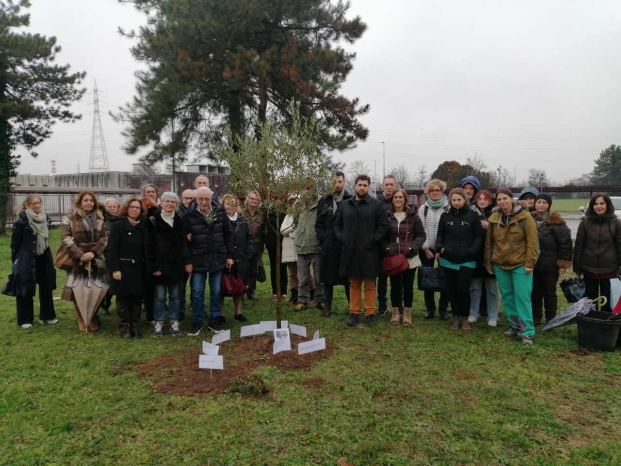A Cologno Monzese un ulivo nella scuola del prof morto sul Monte Bianco