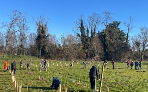 Boschi e foreste urbane: Città metropolitana investe 3 milioni di euro. I Comuni interessati dell’Adda Martesana