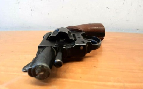 Pistola nascosta sotto terra riaffiora durante la piantumazione degli alberi