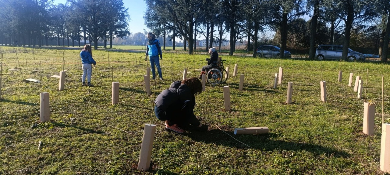 Forestami, dieci nuovi progetti di implementazione del verde urbano