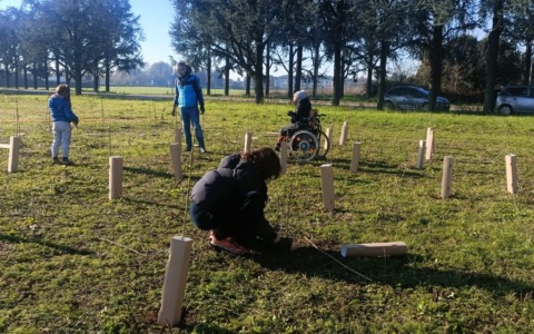 Forestami, dieci nuovi progetti di implementazione del verde urbano