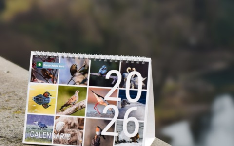 Un doppio calendario 2026 dedicato alla fauna del Parco Adda Nord