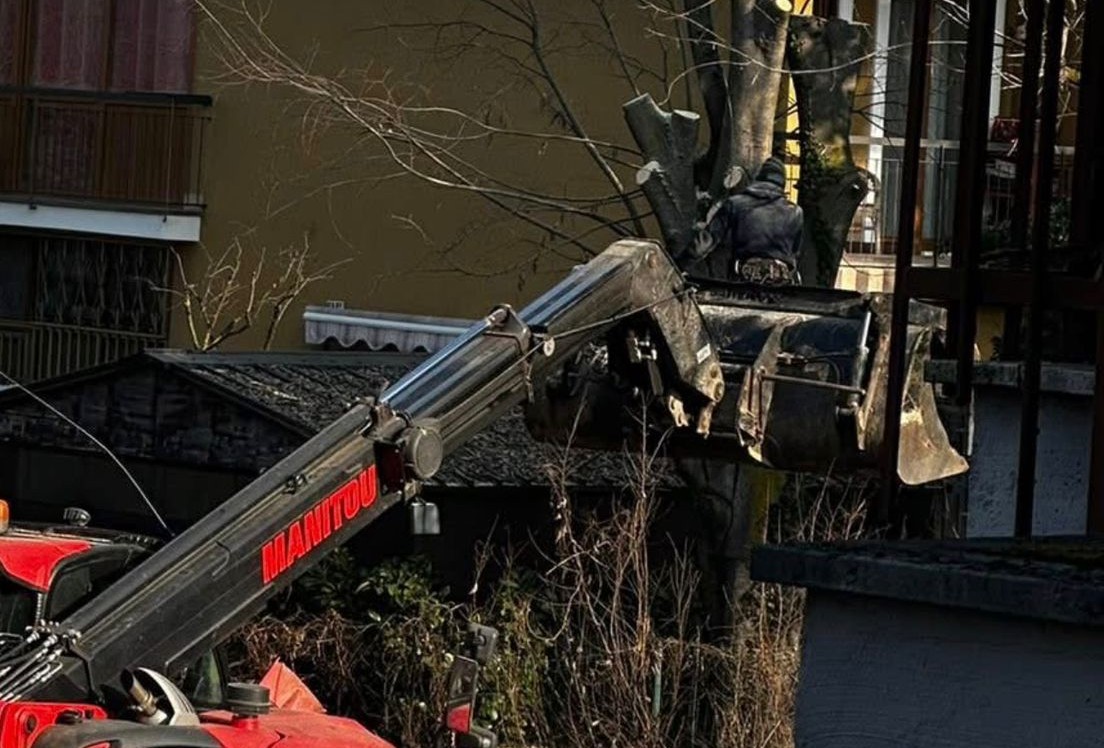 Abbattimenti alberi: il gruppo Uniti per Cassina denuncia carenze nella sicurezza dei cantieri