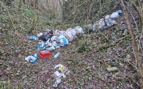Al Bosco del Fontanone sacchi di pattume abbandonati tra alberi e sterpaglie
