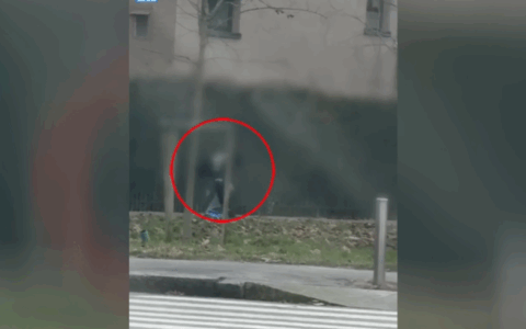 Pusher nascondeva le dosi di cocaina sotto le foglie nel prato di un parco