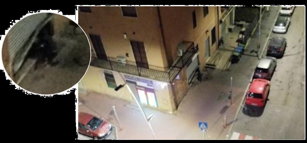 Rubano gratta e vinci dalla tabaccheria, ma un residente li fotografa