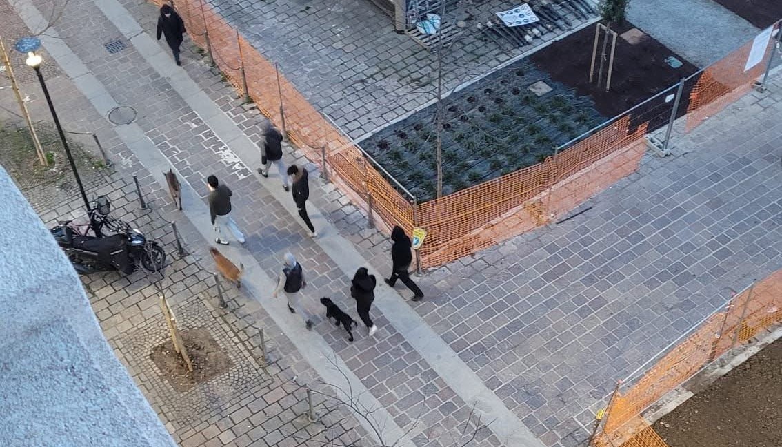 Padre e figlio aggrediti in strada con tre cani e un coltello