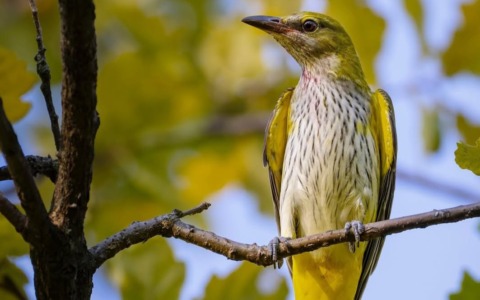 Con la premiazione dei fotografi, scatta il 2026 dell’Oasi Le Foppe.