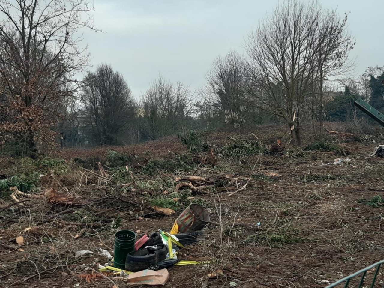 Alberi abbattuti senza permessi, partiranno le sanzioni della Polizia Locale