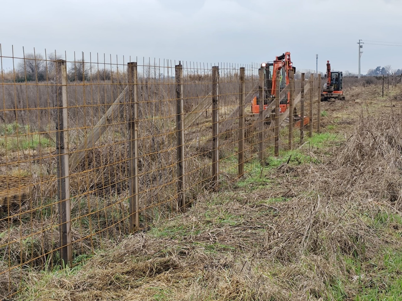 Lavori nell’area del progetto Lidl: il comitato chiede chiarimenti