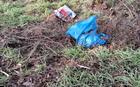 Rifiuti abbandonati lungo la Provinciale ai bordi del Parco Adda Nord