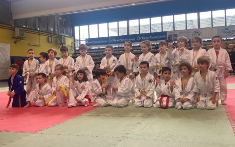 Judo Team La Fenice, in gara a Segrate i piccolissimi (ma forti) judoka